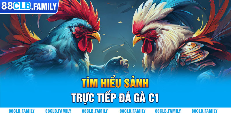 Tìm hiểu sảnh trực tiếp đá gà C1