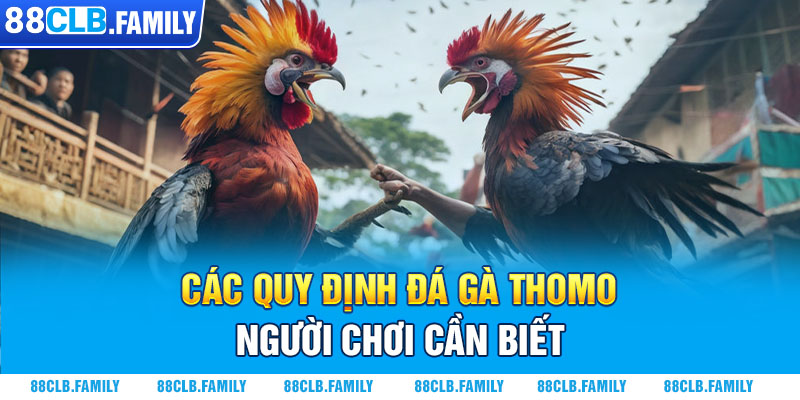 Các quy định đá gà Thomo người chơi cần biết